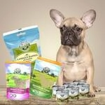 Bellfor Hypoallergenes Hundefutter Nass im Sparset f&uuml;r kleine Hunde 2,760 g