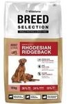 Wildsterne Breed Rhodesian Ridgeback