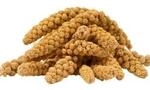Lyra Pet Kolbenhirse gelb 10 kg