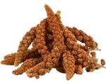 Lyra Pet Kolbenhirse rot 3 kg