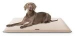 Knuffelwuff kuschelige Hundematte Calliope aus Teddy Material beige XL