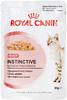 Royal Canin 85 Gramm Katzennassfutter 12 x 85 Gramm Instictive in Gelee