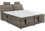 ED Lifestyle Palermo 2 Boxspringbett Tonnentaschenfederkern H2 180x200 cm -...