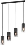 Trio Robin Pendelleuchte Metall/Glas Schwarz matt