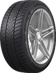 Triangle 6959753237215, Winterreifen 255/40 R20 101W Triangle EffexWinter TW-421