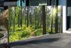 Seitenmarkise ausziehbar, 160 cm hoch, Seitenrollo mit Fotodruck links Wald