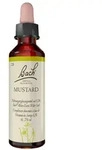 Bachbl&uuml;ten Mustard Tropfen