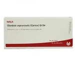 Glandula Supraren. Cort. Gl D4 Ampullen