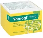 Yomogi 250mg 5 Billionen Zellen