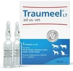 Traumeel Lt Ampullen veterin&auml;r