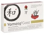YamatoGast bei leichten Magen-Darm-Beschwerden