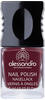 Alessandro Colour Code 4 Nail Polish 905 Rouge Noir 5 ml