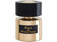 Tiziana Terenzi Bigia Extrait de Parfum 100 ml TTPROF/BIG
