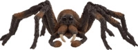 SCHLEICH Aragog Spielfigur Mehrfarbig