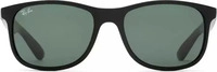 Ray Ban 4202/55, RAY BAN Sonnenbrille 4202/55 schwarz