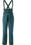 Scott Pants M's Vertic 3L aruba green (7334) S