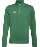 adidas ENTRADA22 Training Top Youth team green-white (ADCZ) 140