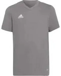 adidas ENTRADA22 Tee Youth team grey four (AE2C) 116
