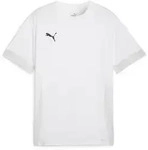 Puma Teamgoal Matchday Jersey puma white-puma black-feather gray (04) M