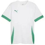 Puma Teamgoal Matchday Jersey puma white-sport green-sport green (15) S