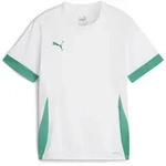 Puma Teamgoal Matchday Jersey jr puma white-sport green-sport green (15) 116