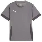 Puma Teamgoal Matchday Jersey jr cast iron-puma white-shadow gray (13) 116