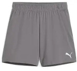 Puma Teamgoal Shorts Wmns cast iron-puma white (13) XS