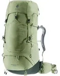 Deuter Aircontact Lite 45 + 10 SL grove-ivy (1214)