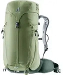 Deuter Trail 30 grove-ivy (1214)