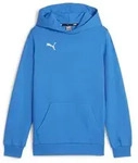 Puma Teamgoal Casuals Hoody Jr ignite blue-puma white (02) 116