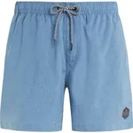 Protest Davey Beachshort river blue (511) XS