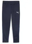 Puma Teamgoal Training Pant puma navy-puma white-persian blue (06) S