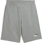 Puma Essentials 2 Color No. 1 Logo Shorts 10" TR medium gray heather (03) XL