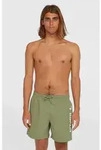 O'Neill Cali 16'' Swimshorts avery fern (16048) M