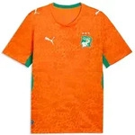 Puma FIF Home Jersey Replica rickie orange-sport green (01) S