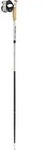 LEKI Ultratrail FX.One warm grey light-warm grey dark-black 110 cm