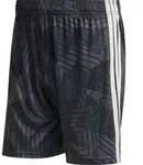 adidas TIRO26 Competition Goalkeeper Shorts black (095A) 3XL
