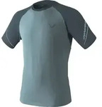 Dynafit Alpine Pro M Short Sleeve Tee smoke blue/0720 (3161) 46/S