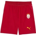 Puma GSK Home Jersey Replica dark cherry-summer sunset (01) S