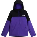 The North Face Mens Freedom Insulated Jacket peak purple/tnf black (S96) M