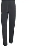 adidas Terrex Xperior CLIMA365 Light Pants Men black (095A) S