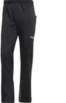 adidas Terrex Xperior Fast Pants black (095A) 54