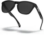 Oakley Frogskins polished black/prizm black (9013C4)