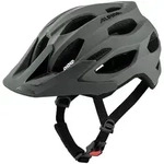 Alpina Carapax 2.0 coffee-grey matt (34) 52-57