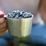 Primus K&aring;sa Mug S.S. stainless steel