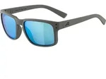 Alpina Kosmic moon-grey matt mirror blue (21) one size