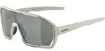 Alpina Bonfire Q-lite cool grey matt gr&uuml;n (21)