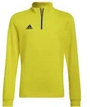 adidas Entrada 22 Trainingstop Kinder - gelb-116