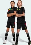adidas performance IK5728, adidas performance adidas Fortore 23 Shorts Kinder -