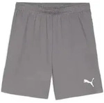 Puma teamGOAL Shorts Herren - grau-S